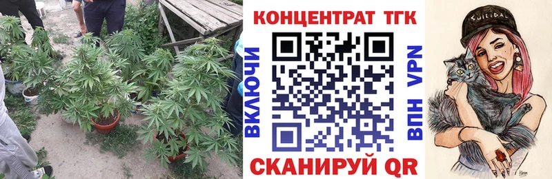 Купить  Малгобек  Дистиллят ТГК концентрат 