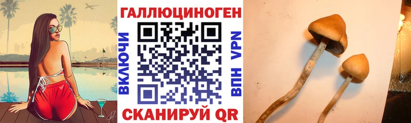 Купить где  Малгобек  Псилоцибиновые грибы мухоморы 